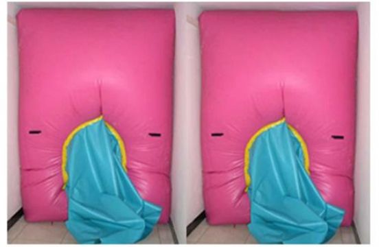 點(diǎn)擊查看詳細(xì)信息<br>標(biāo)題：快速封堵氣囊 閱讀次數(shù)：2795