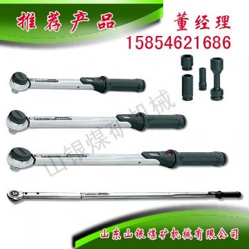 點(diǎn)擊查看詳細(xì)信息<br>標(biāo)題：顯示扭力扳手 閱讀次數(shù)：1965