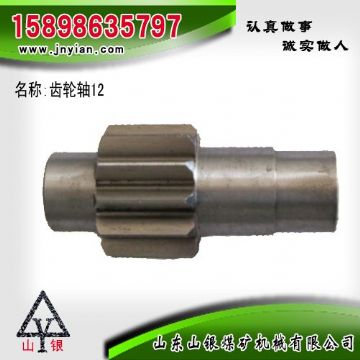 點擊查看詳細(xì)信息<br>標(biāo)題：齒輪軸12 江陰系列配件 閱讀次數(shù)：2279