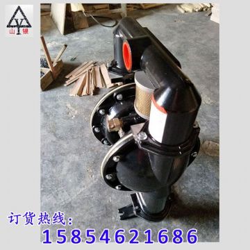 點擊查看詳細信息<br>標題：氣動隔膜泵著名品牌-氣動隔膜泵廠家 閱讀次數(shù)：2069