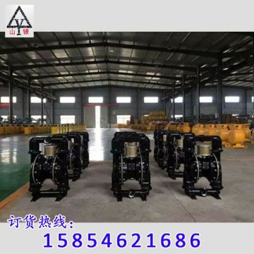 點擊查看詳細信息<br>標題：隔膜泵_氣動隔膜泵_隔膜泵價格_隔膜泵 閱讀次數(shù)：1942