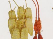 點擊查看詳細信息<br>標題：取氣樣球膽 閱讀次數(shù)：270